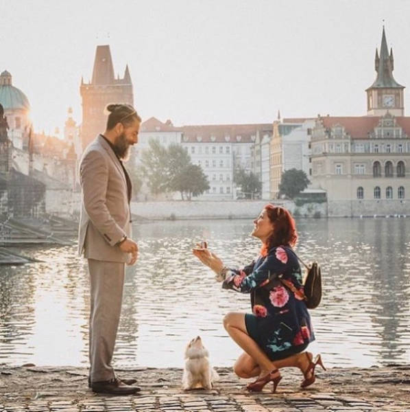 The Most Adorable Marriage Proposals That Were Impossible To Reject