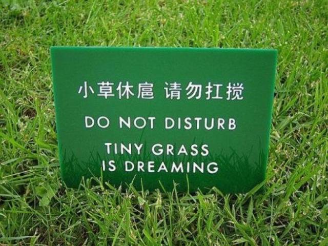 Translation Fails Are Always Hilarious!