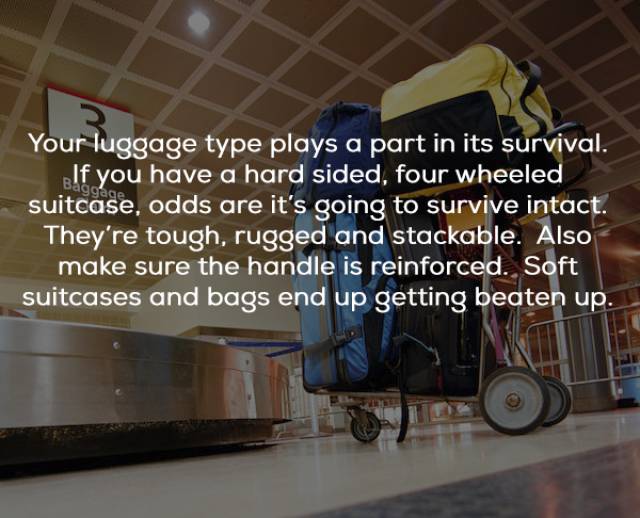 Secrets From The World Of Airline Baggage Handlers