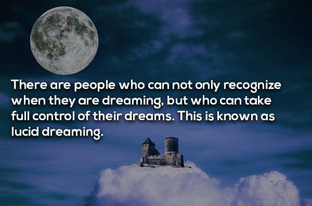 Sleepy Facts We Know About Dreaming