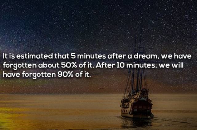 Sleepy Facts We Know About Dreaming