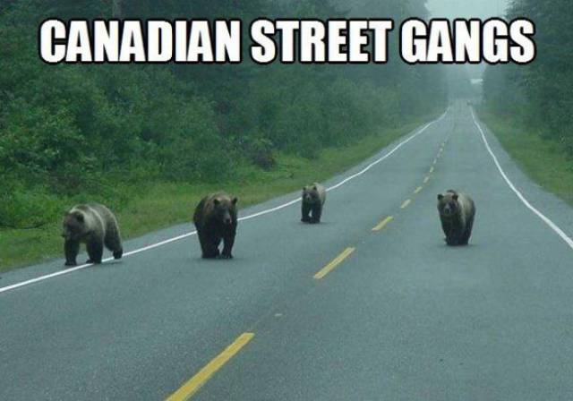 Canada Is A Very Special Country…