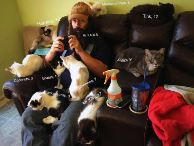 Here’s Mr. Karls And His Home For Abandoned Cats!