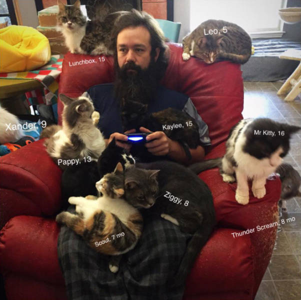 Here’s Mr. Karls And His Home For Abandoned Cats!