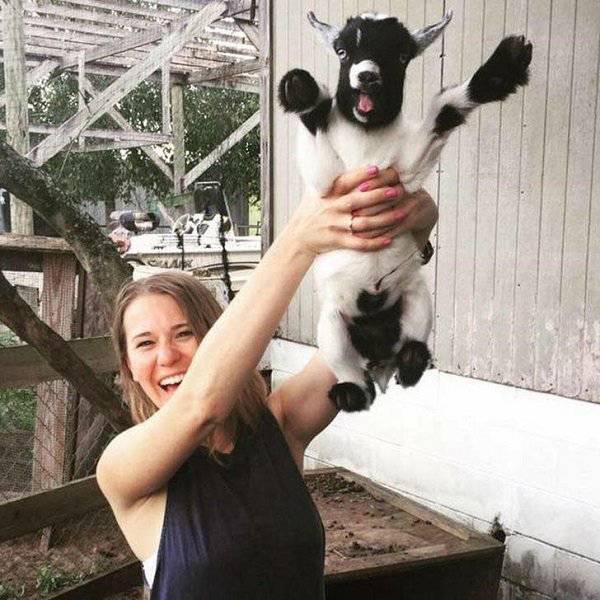 Goats Are Great Animals Too!