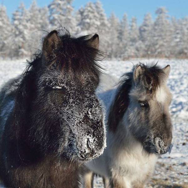 In The World’s Coldest Village -62°C (-80°F) Is Not Even A Catastrophe