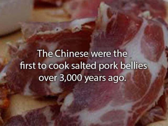 Well Cooked Bacon Facts 20 Pics