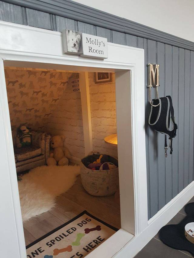 Dog Gets A New Room Just Because A Child Is Born In The Family