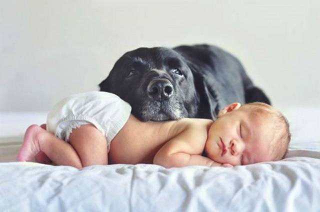 Fine Examples When A Picture Says More Than Just A Thousand Words
