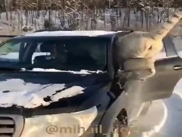 A Man And Three Pussies In A Car