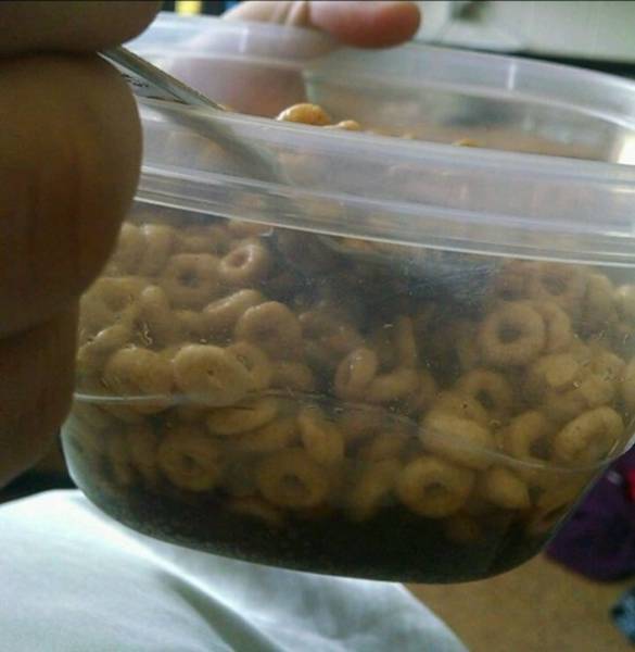 Living With Your Special One Is A Priceless Experience