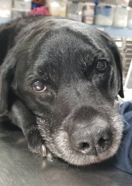 Some Photos Are Just Way Too Emotional