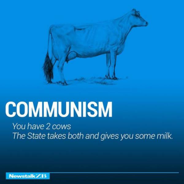 How To Learn Economics With Cows