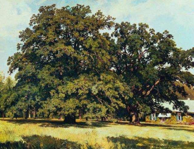 Ivan Shishkin’s Paintings Look Almost As If They Were Photos