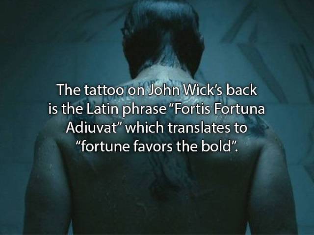 Murderous Facts About “John Wick”