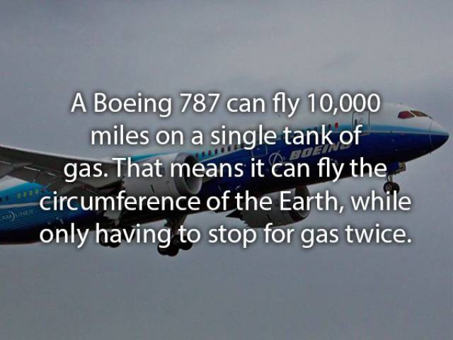 Some Facts You Should Know About Flying