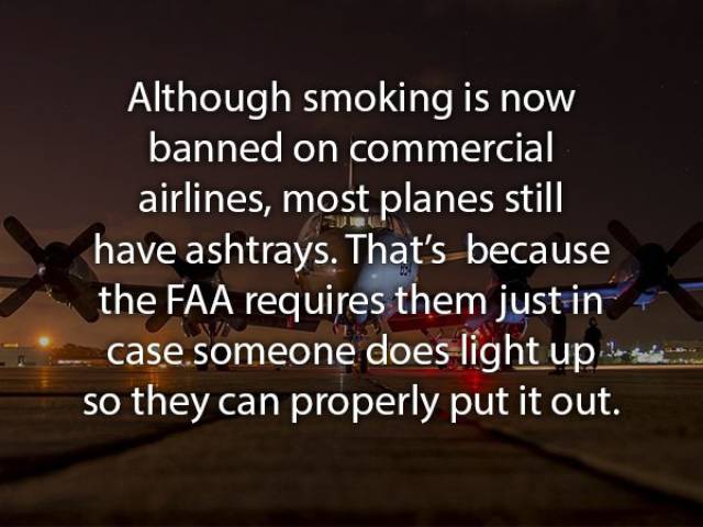 Some Facts You Should Know About Flying