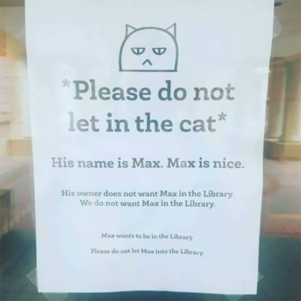 These Librarians Will Make You Laugh While Reading