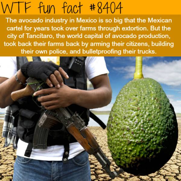 You Just Need To Learn Some New Facts Today 39 Pics Izismile