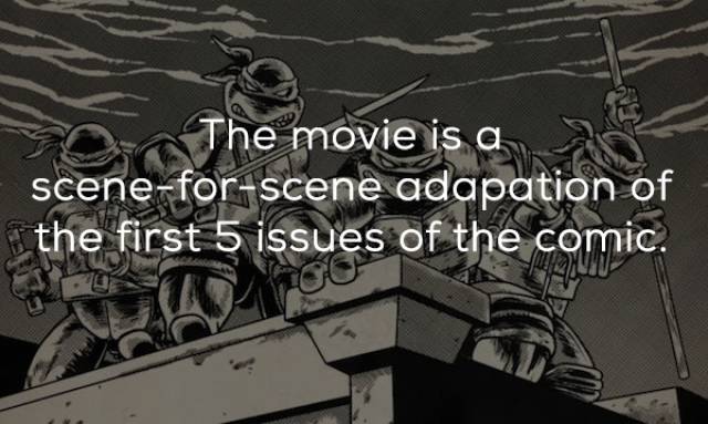 Rebellious Facts About The Original Ninja Turtles Movie