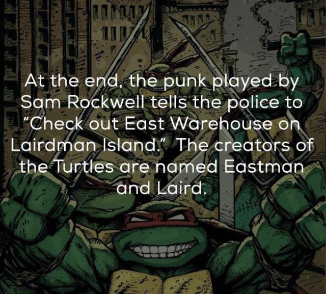 Rebellious Facts About The Original Ninja Turtles Movie