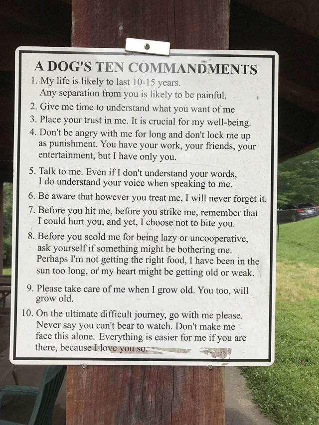 “A Dog’s Ten Commandments” Are Way Too Touching