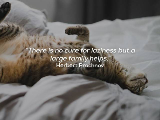 Some Quotes About Family Life Are Too True To Be Funny