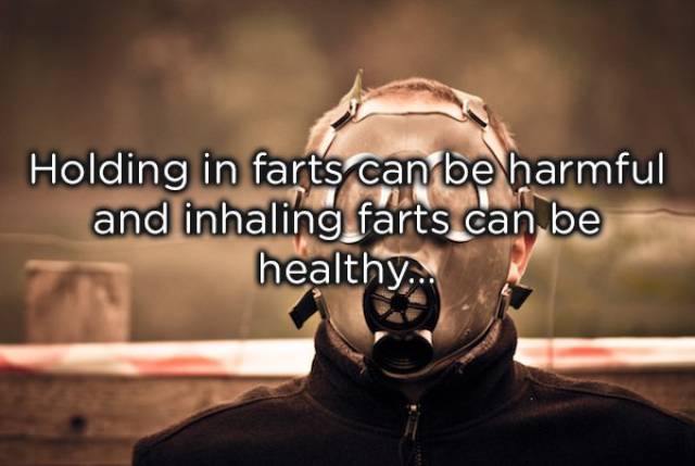 Farts Also Need Their Share Of Facts