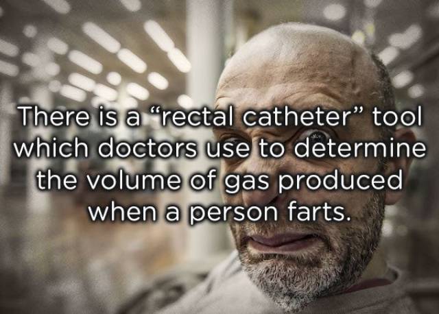 Farts Also Need Their Share Of Facts