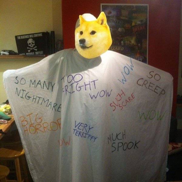 Memes Are The Best Ideas For Costumes!