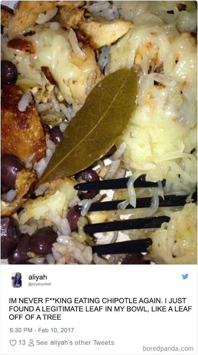 People Are Shocked After They Found Leaves In Their Chipotle