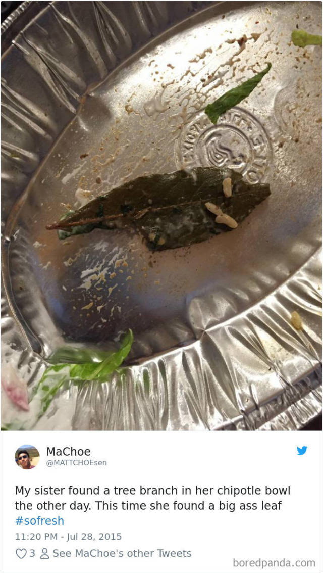 People Are Shocked After They Found Leaves In Their Chipotle