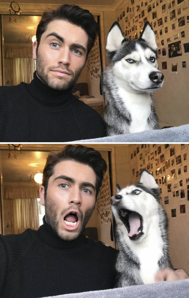 He Simply Took A Photo With His Dog And A Trend Was Born…