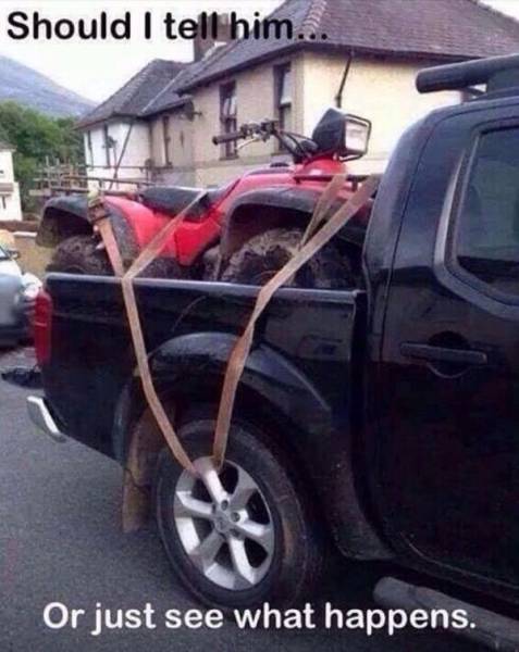 Cars Can Come In All Shapes And Colors…