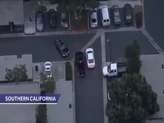 That Guy Played Too Much GTA