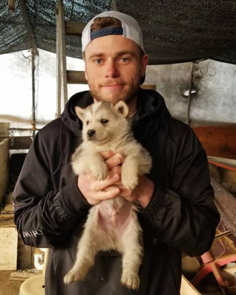US Olympic Skier Gus Kenworthy Saves Lives Of 90 Dogs At South Korean Meat Farm