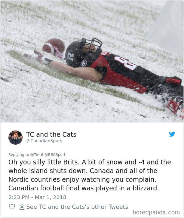 UK Is Panicking Because Of “Awful Snowstorms” And Reality Is Hilarious