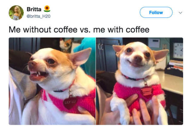 Only Coffee Fans Will Be Awake Enough To Understand These Memes