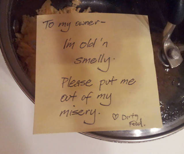 Roommates Are Best At Passive Aggression