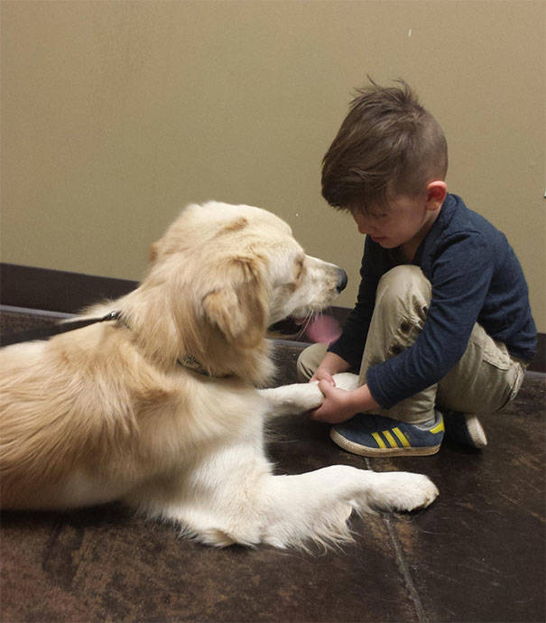 Kids And Dogs Are A Perfect Combination!