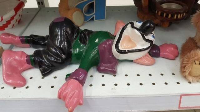 Thrift Shops Are Endless Sources Of Bizarre Things