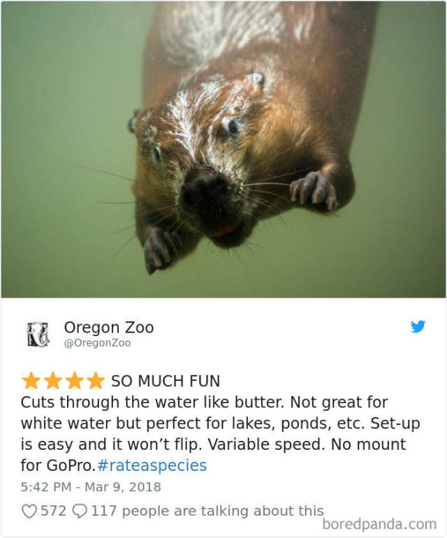 Zoos Prove That Even Animals Can Be Rated!