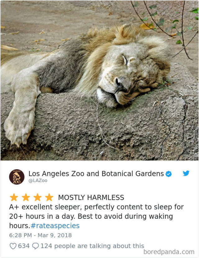 Zoos Prove That Even Animals Can Be Rated!