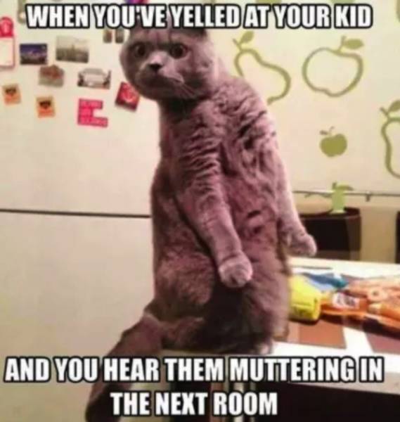 Parenting Is Full Of Pain And Memes