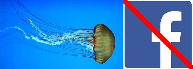 Some “Would You Rather” Questions Are Impossible To Answer…