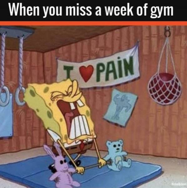 Everybody Loves To Hate Gym