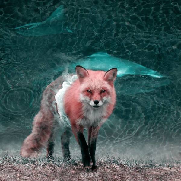 This Digital Artist Creates Some Unreal Animals Which Have Something Amazing About Them