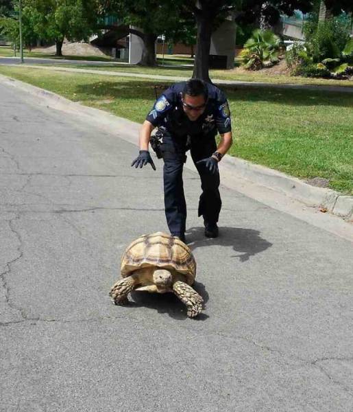 Police Isn’t Forbidden To Have Fun!