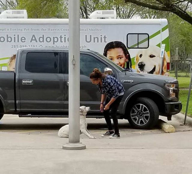 Dogs Are Too Smart Not To Know When They’re Being Abandoned…