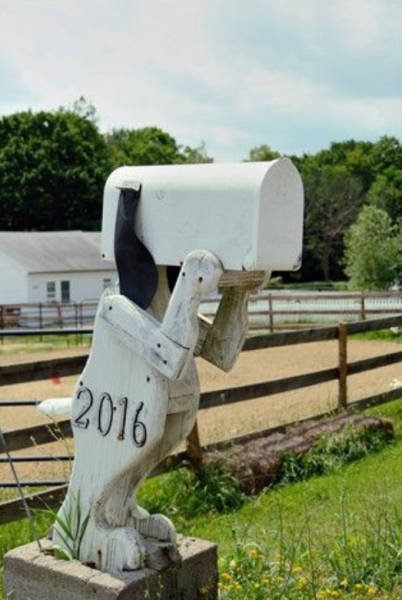 Even A Mailbox Can Be Very Original!